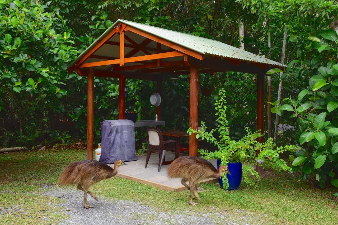 קייפ טריבוליישן Thornton Beach Bungalows Daintree מראה חיצוני תמונה