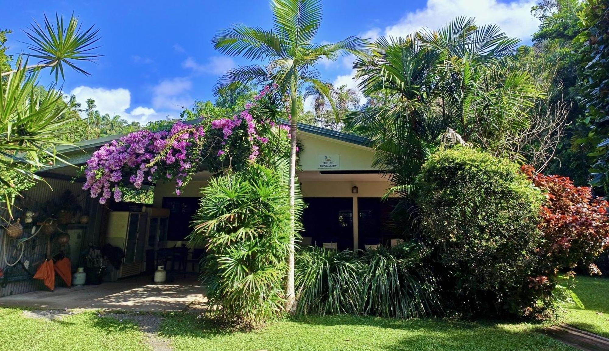קייפ טריבוליישן Thornton Beach Bungalows Daintree מראה חיצוני תמונה